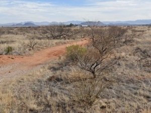 Buildable grassland lot with development nearby - Sunsites, Arizona - photo 12