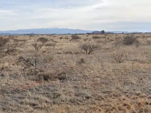 0.83 AC Lot With Development Around