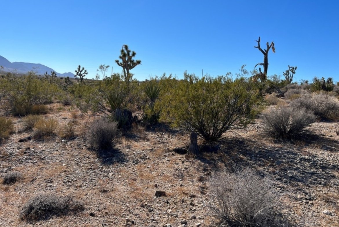 Meadview, AZ 1.3 Acre Property for Sale in a Cul De Sac