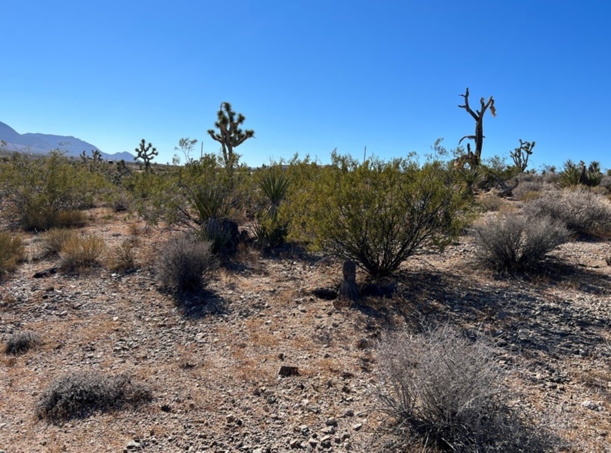 Meadview, AZ 1.3 Acre Property for Sale in a Cul De Sac
