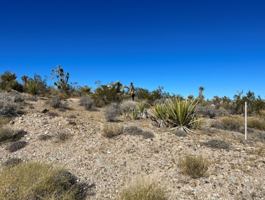 Owner-financed 1.3 acre property in Meadview, Arizona - photo 3