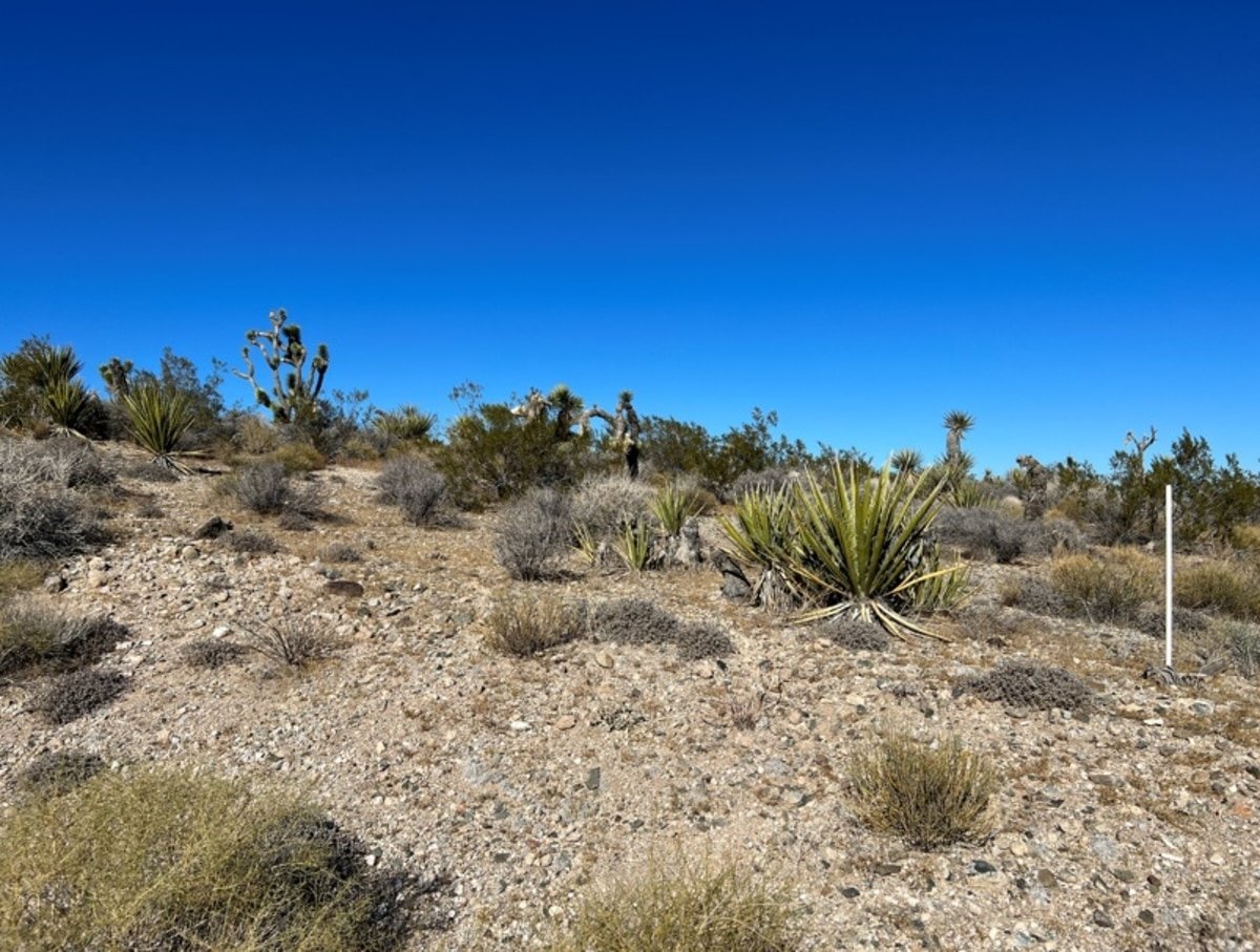 Meadview, AZ 1.3 Acre Property for Sale in a Cul De Sac