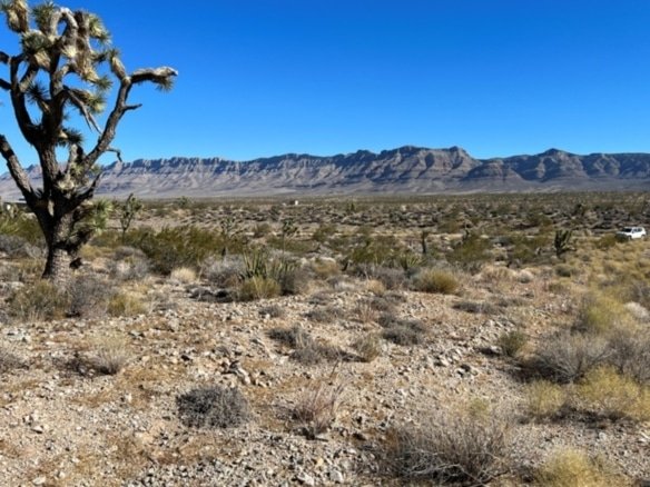 1.3 Acre Property for Sale in Meadview, Arizona, residential lot with dirt road access