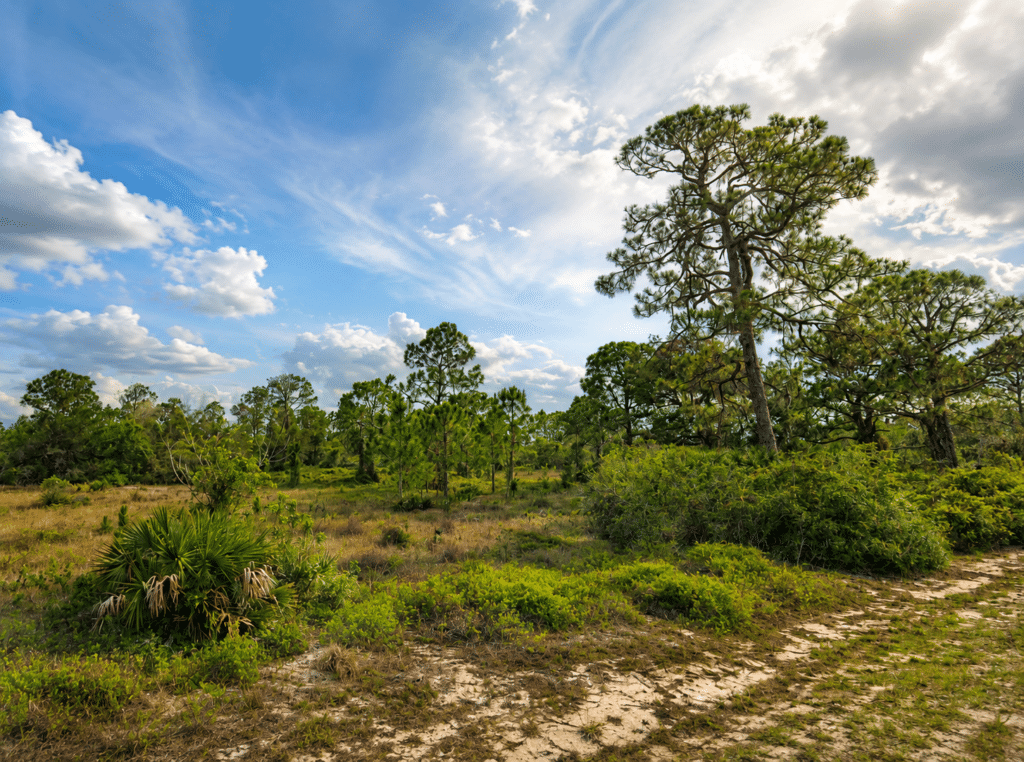 Recreational land lot in Lake Placid Florida area, RV and camping permitted - photo 10
