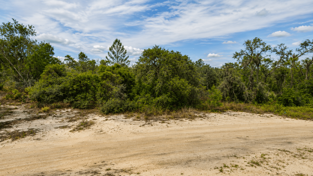 Owner-financed land listing in South Central Florida, Highlands County - $349 monthly - photo 2
