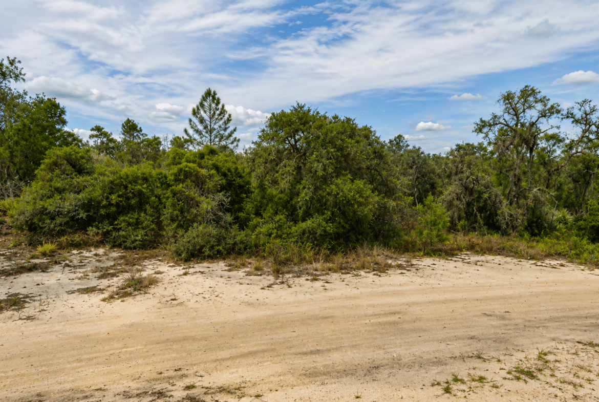 Own Land in Florida — 0.23 acre lot for Sale in South Central Florida without bank headaches | Only $349/Month