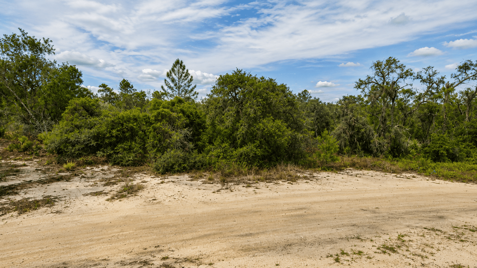 Own Land in Florida — 0.23 acre lot for Sale in South Central Florida without bank headaches | Only $349/Month