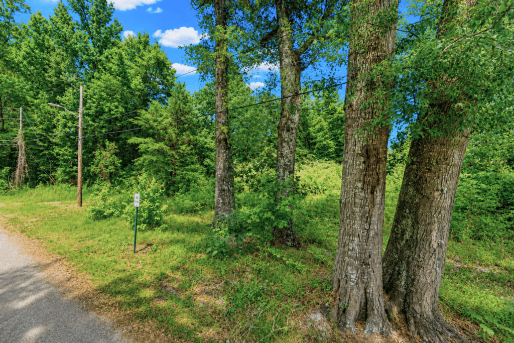 0.14 acre wooded residential lot near Laurel, Mississippi - photo 3