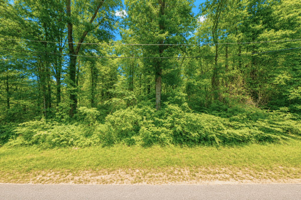 Wooded buildable land in Laurel, MS with street power - photo 6