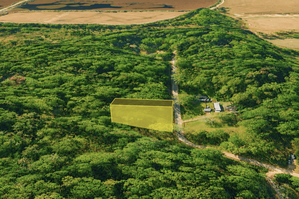 Owner-financed residential land near Laurel, Jones County, Mississippi - photo 7