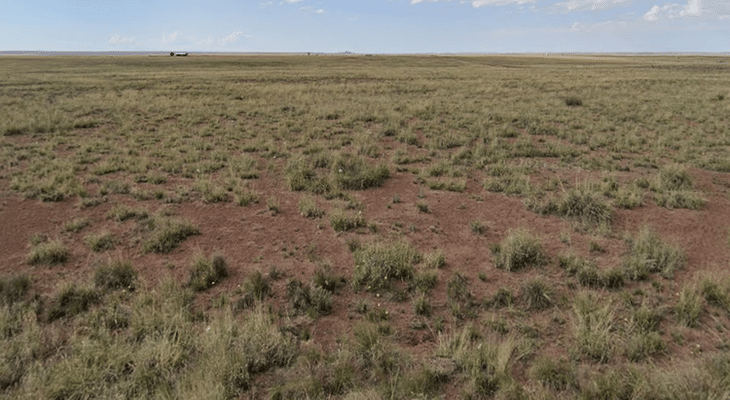 Unlock Your Adventure: Own 1.29 Acres in Arizona