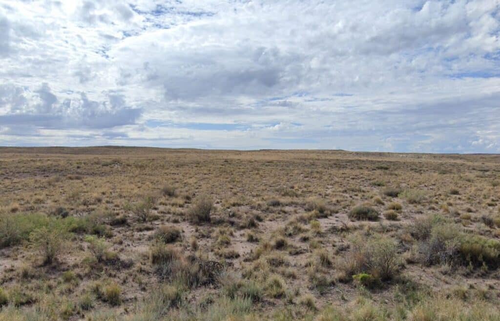 Owner-financed Arizona property: $99 down, $99/month - Apache County - photo 4