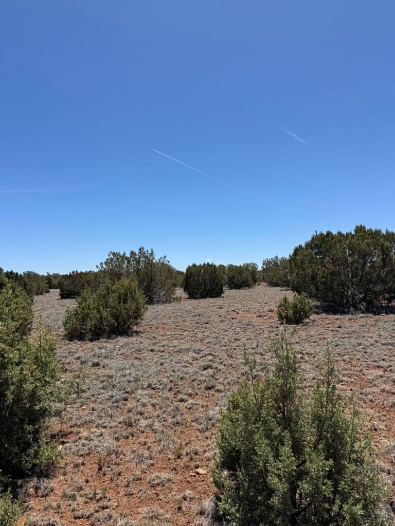Agricultural land bordering public land in Apache County, Arizona - photo 6