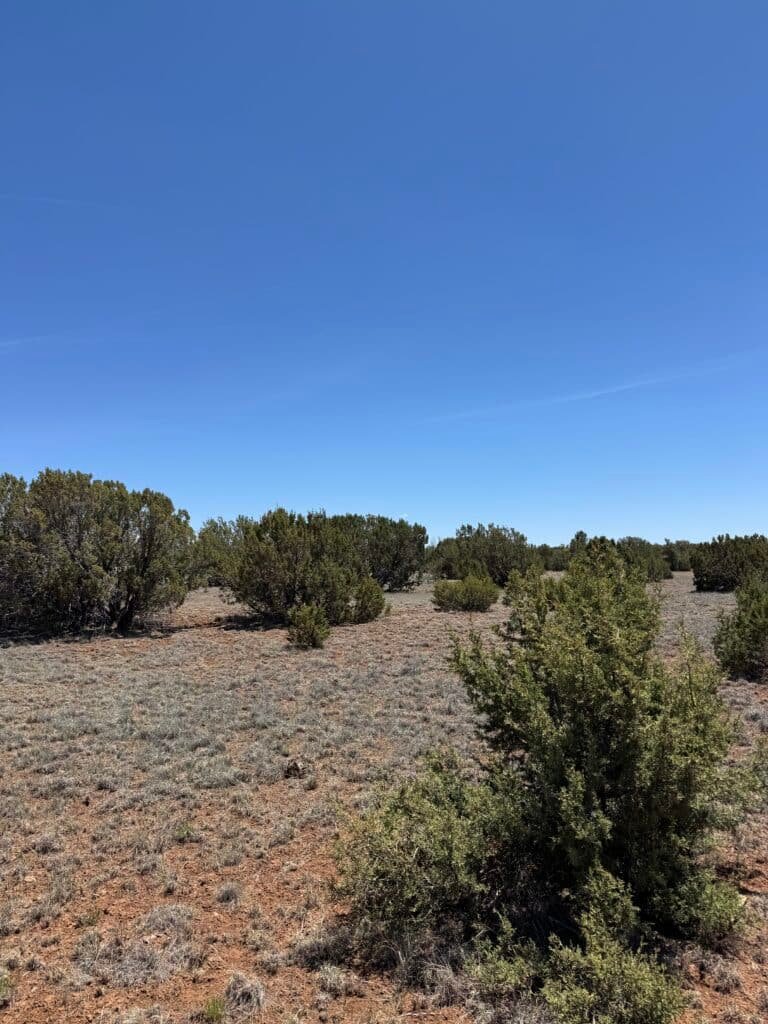 Buildable 1.03 acre lot near Show Low, Arizona at 6017 feet elevation - photo 5