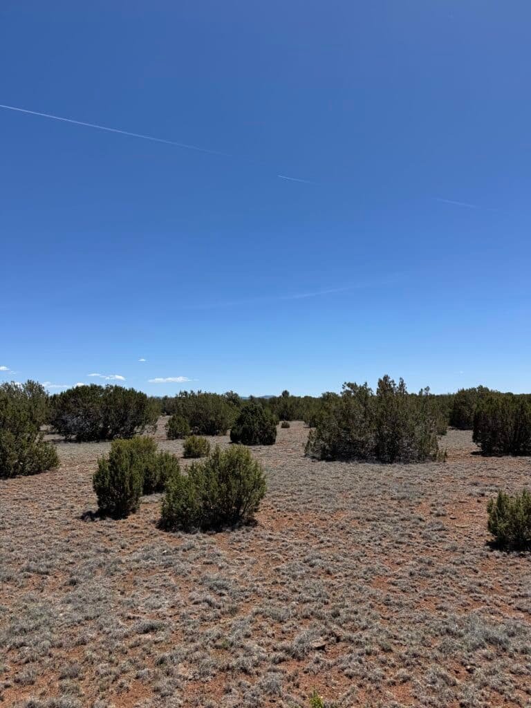 Owner-financed land $250/month in Apache County, Arizona with well and septic - photo 4