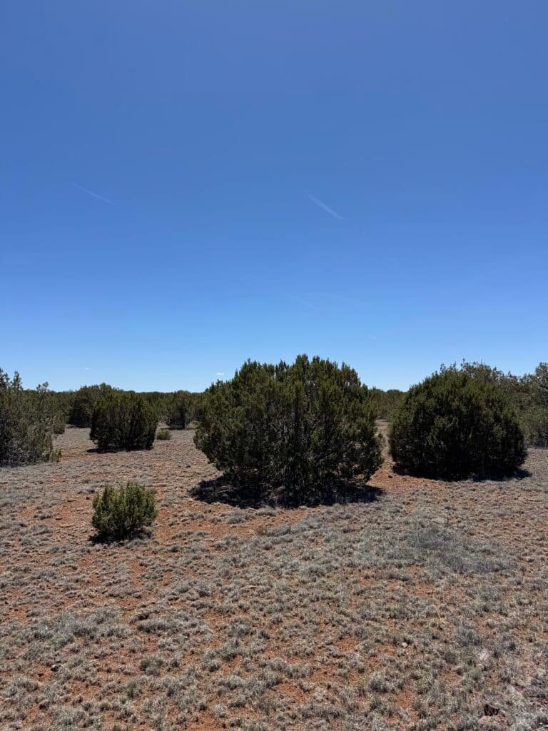 RV camping allowed on 1.03 acre property in Show Low area, Arizona - photo 3
