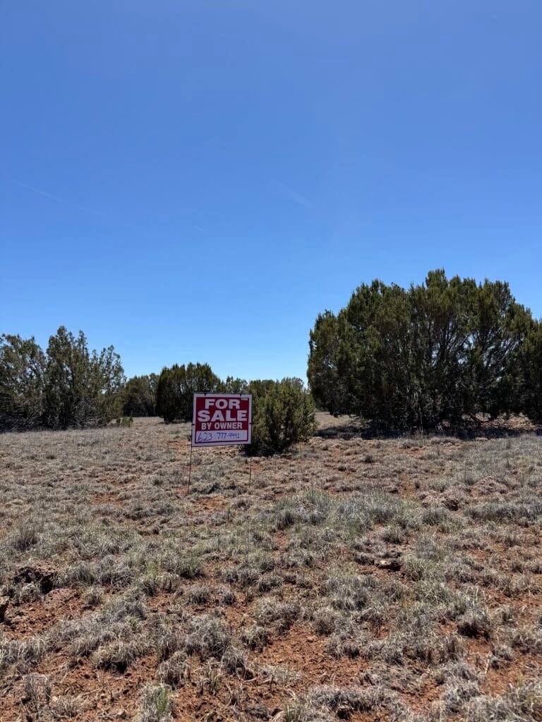 Wooded lot zoned Agricultural General in Apache County, Arizona - photo 2