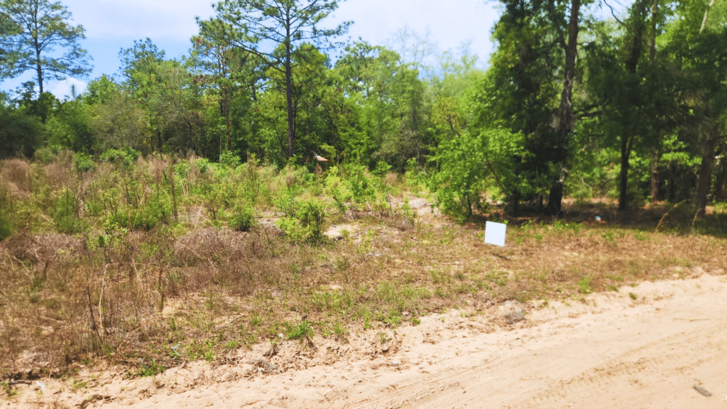Buildable land for sale near Interlachen, FL - $9,150 cash price