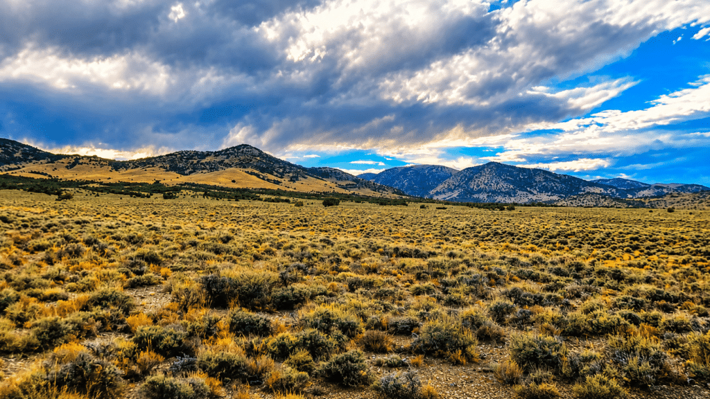 Off-grid buildable acres with water rights, Nevada - photo 7