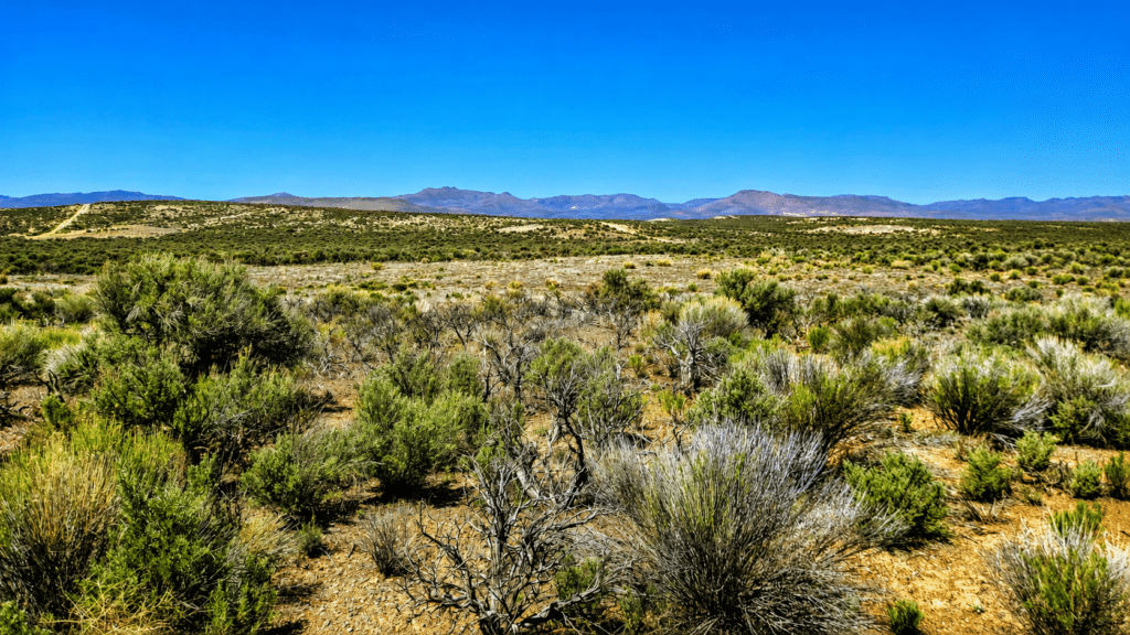 Off-grid land with well water in Elko NV - camping and RV allowed