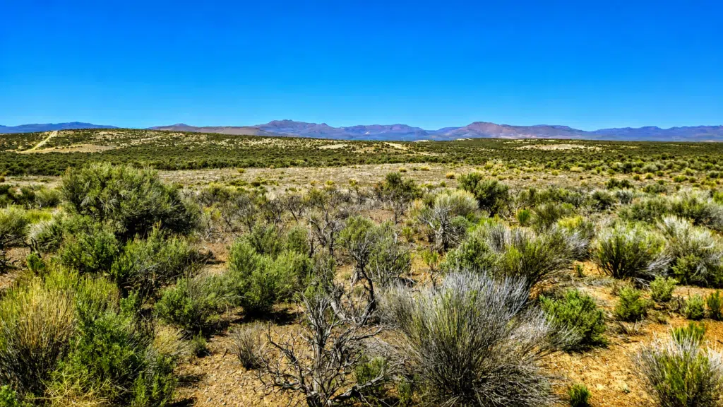 Off-grid land with well water in Elko NV - camping and RV allowed