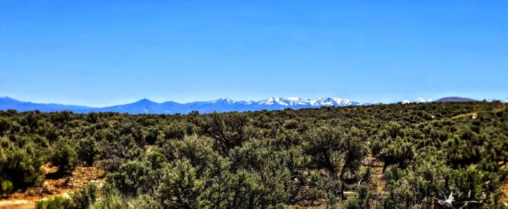 Owner-financed land in Elko County NV - $139 down, $139 per month