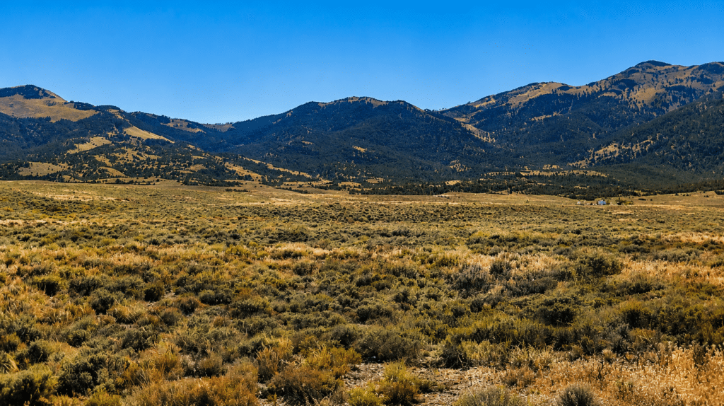 Owner-financed land near Montello, NV - $149 down, $149/month - photo 3