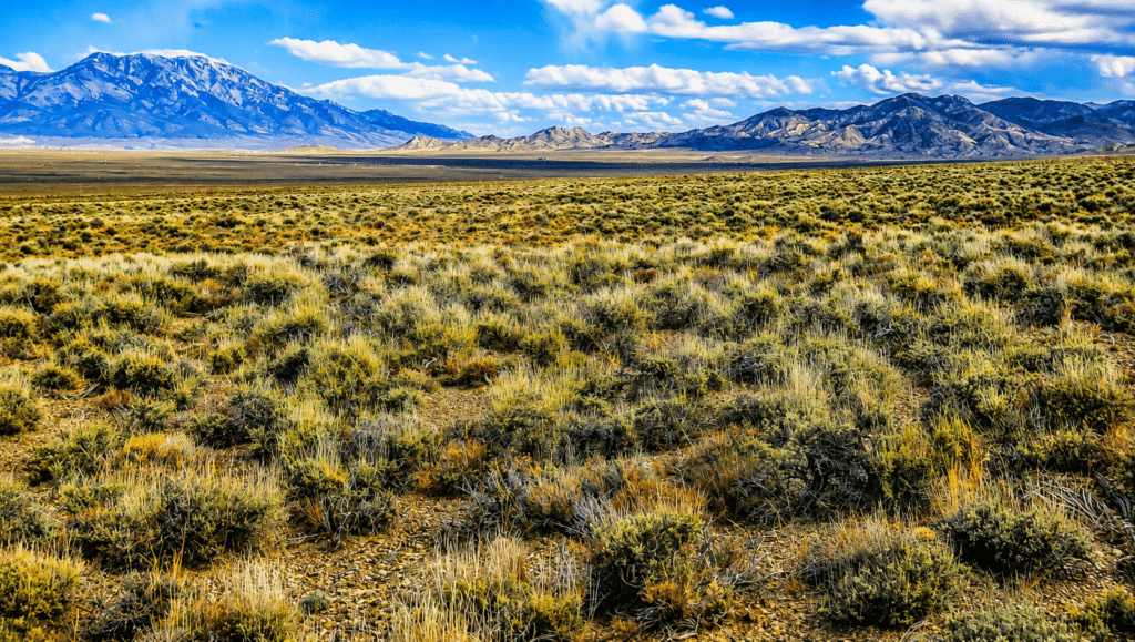 Wildlife-friendly open land near Montello, Elko County - photo 8