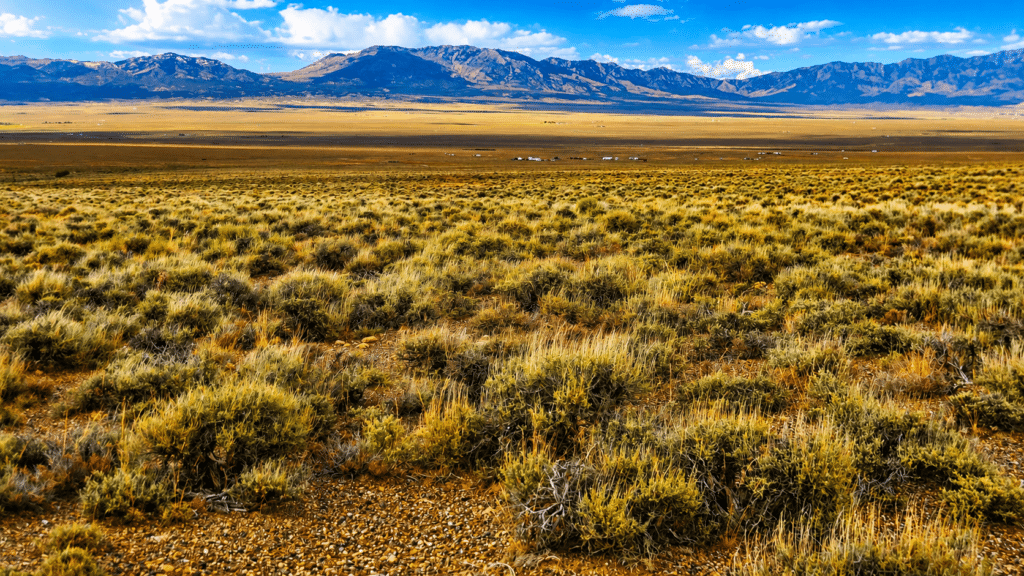 10 acre flat terrain lot bordering public land, Nevada - photo 4