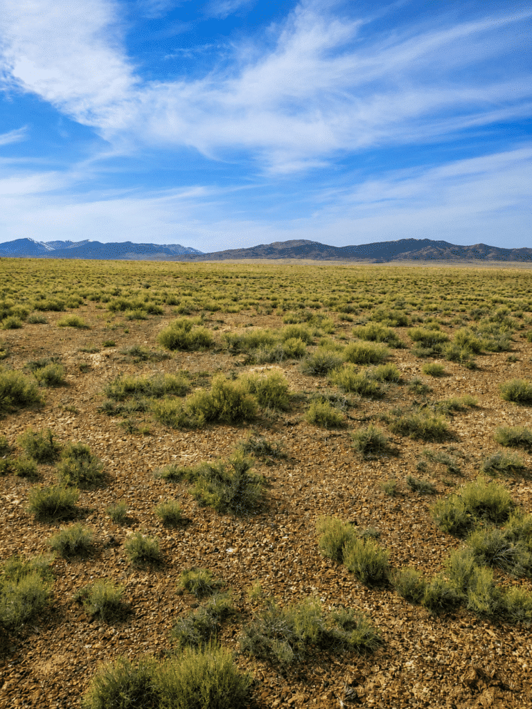 Owner-financed land near Montello, NV - $259 down, $259/month - photo 4