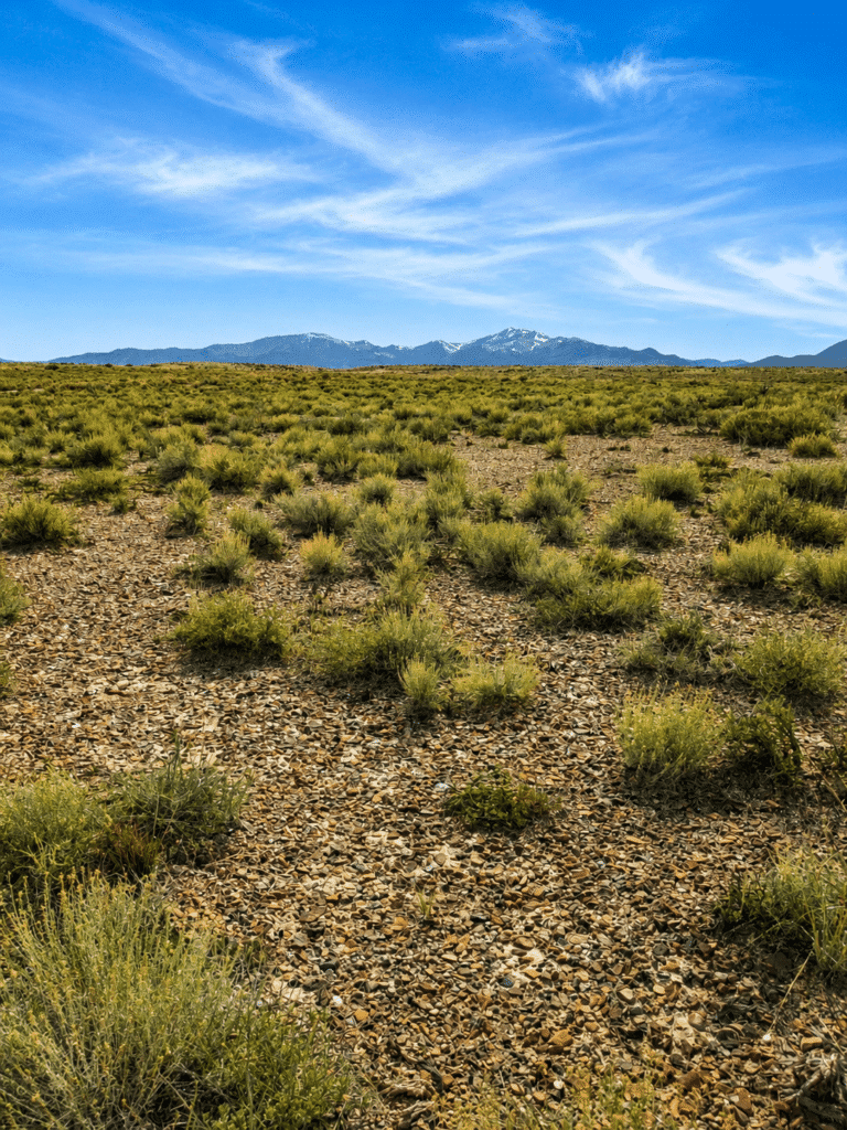 Elko County buildable lot with owner financing near Montello, NV - photo 2