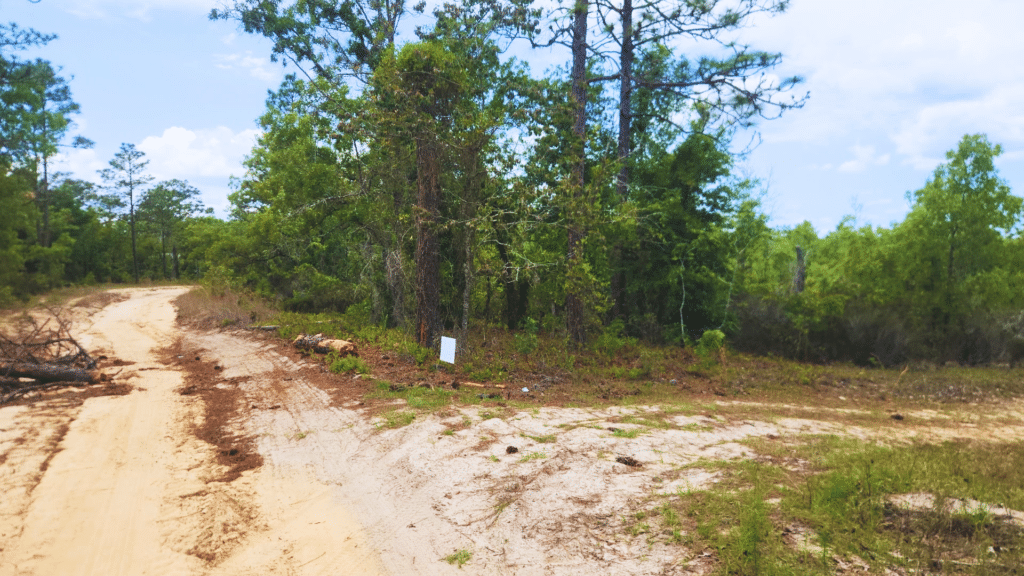Cheaper Than a Used Car — Own Land in Florida