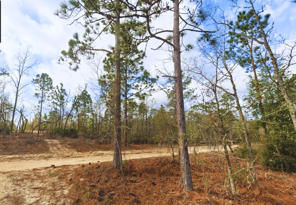 Putnam County Florida land listing with mobile home allowed, well/cistern water - photo 6