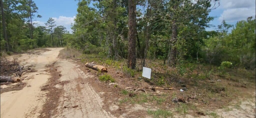 Affordable Florida land lot in Putnam County with owner financing - $145 monthly - photo 2