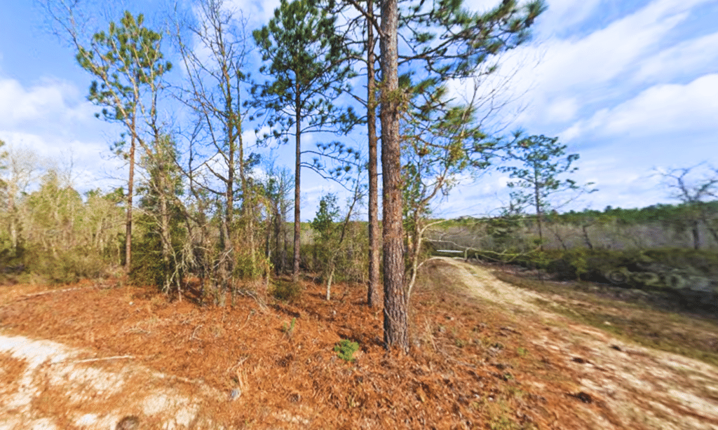 0.16 acre buildable lot near Interlachen on Union Ave/Manatee St, Florida - photo 5