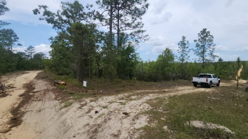 Flat, treed 0.16 acre parcel on Union Ave/Manatee St, Putnam County Florida - photo 3