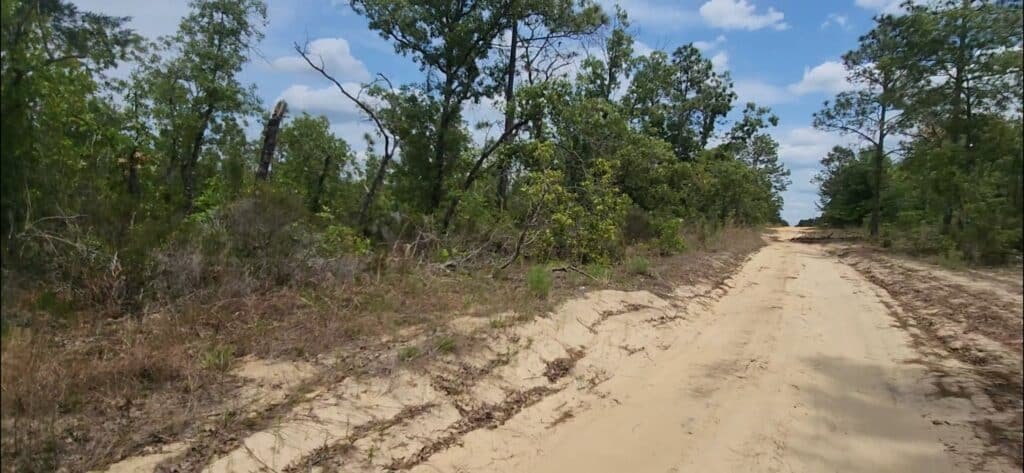 0.16 acre Putnam County Florida parcel with septic installation required - photo 7