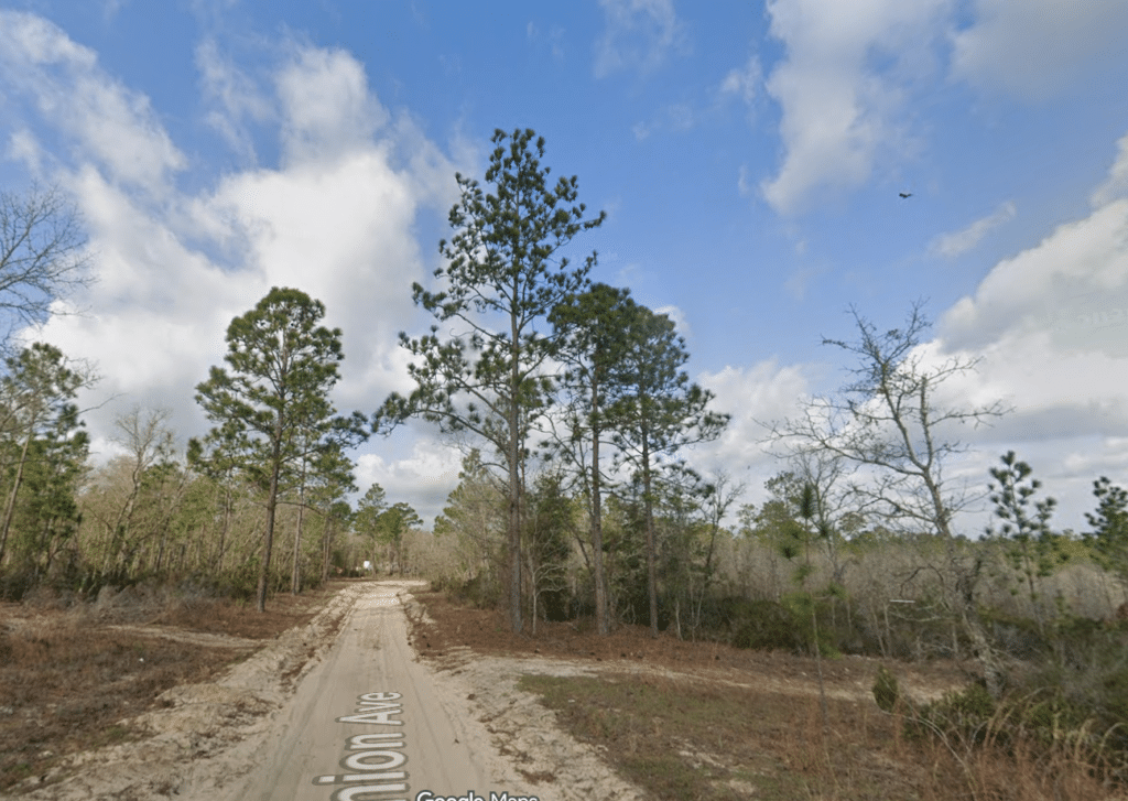 0.16 acre Florida land for sale with 60-month owner financing, Putnam County - photo 10