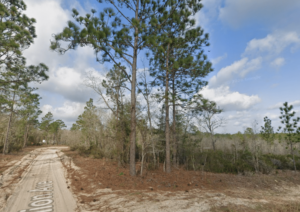 Flat buildable land in Putnam County Florida on Union Ave, no HOA regulation - photo 9