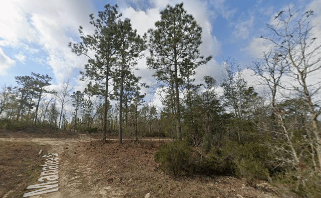 Affordable owner-financed land near Interlachen - $6,880 cash price, Putnam County - photo 8