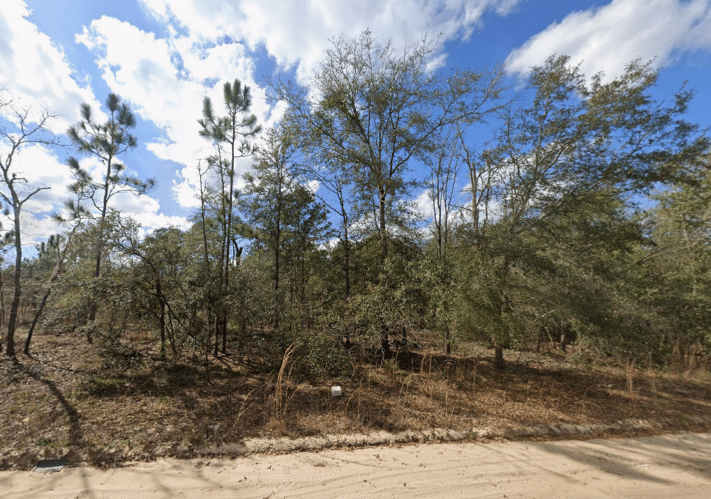 Putnam County, Florida buildable lot - well/cistern water option