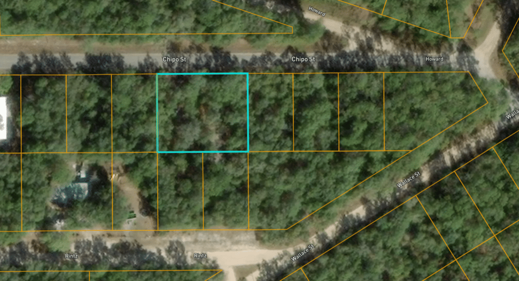 Owner-financed land near Interlachen, Putnam County, Florida - photo 8