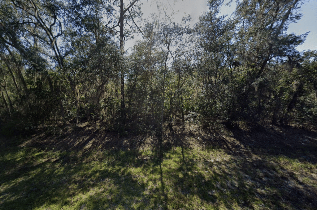 Nearly half-acre single-family residential lot in Interlachen, Florida - photo 3