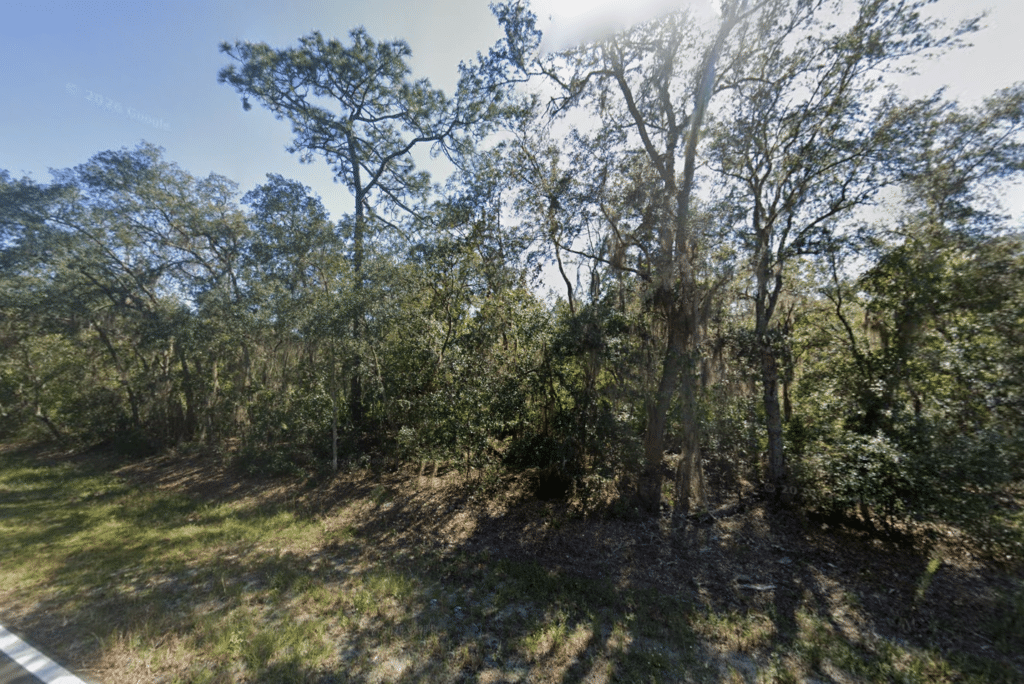 Florida buildable land for sale on Chipo St, Putnam County - photo 2