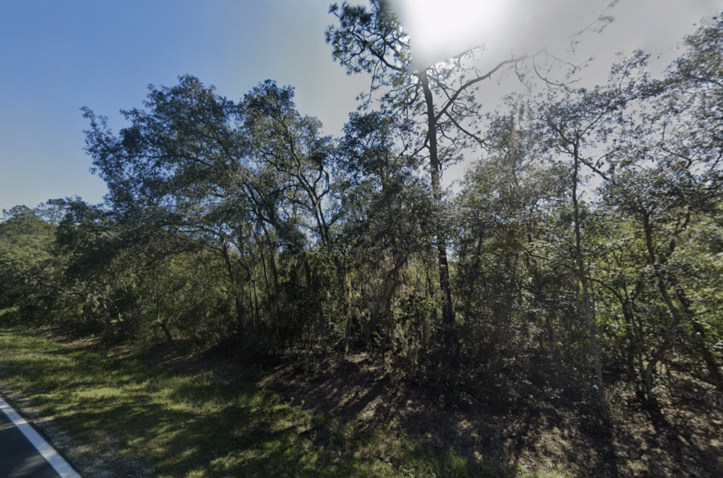 Owner-financed 0.44 acre property in Putnam County, Florida - photo 4