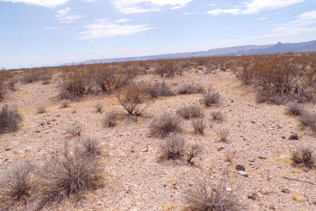 Owner-financed 2.35 acre lot in Mohave County, Arizona - photo 2