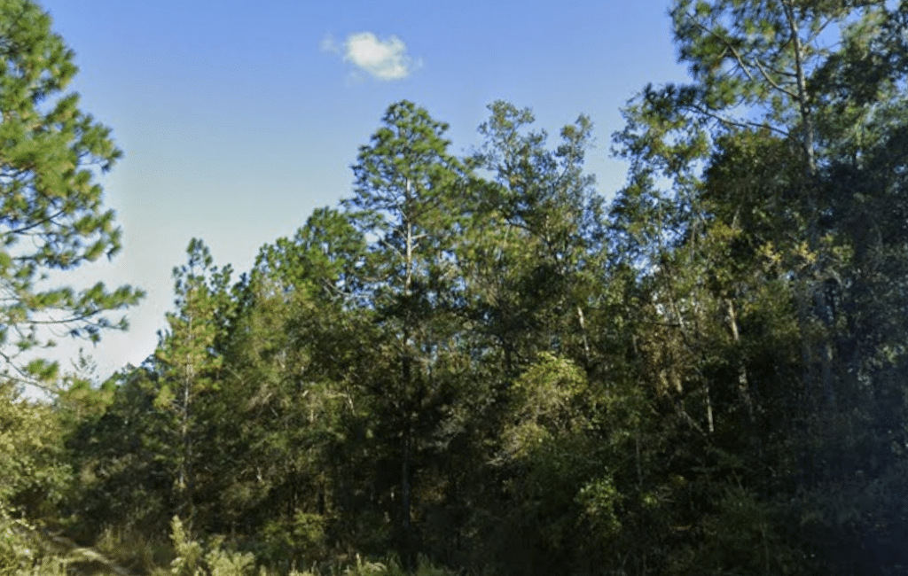 Florida land listing in dry, high FEMA flood zone - photo 4