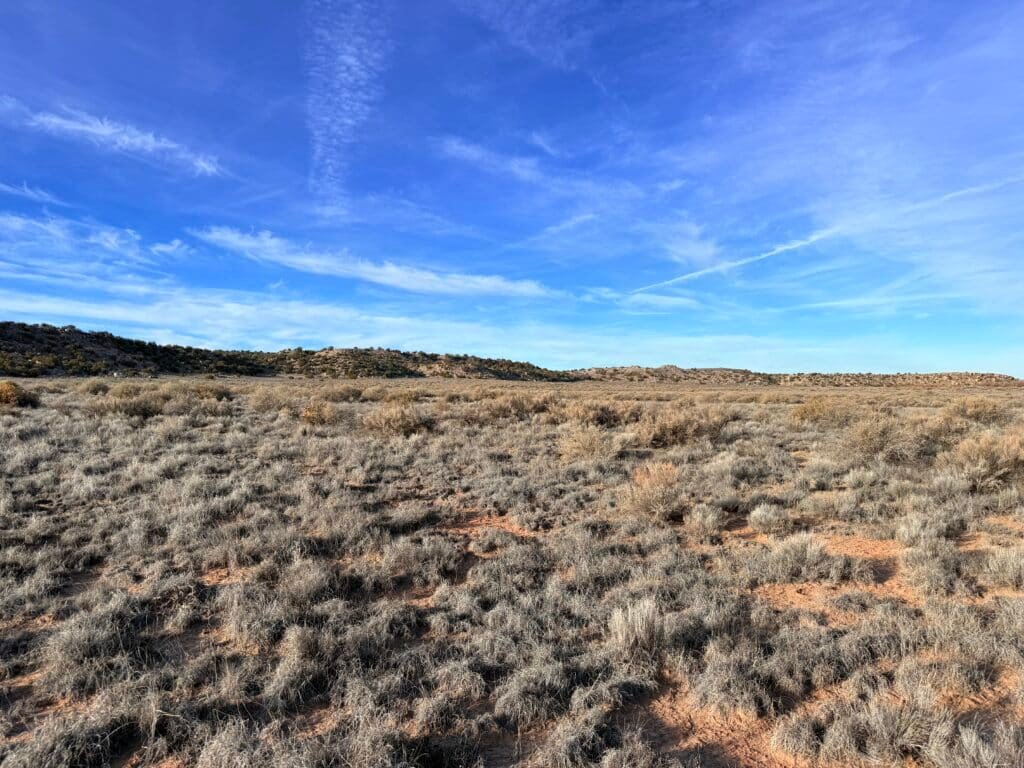 1.16 acre recreational lot listed for $9,089 cash in Arizona - photo 5