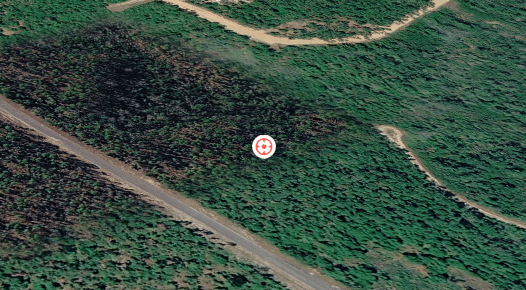 1.31 Acres in Compass Lake Hills FL – Buildable Lot – $10,900 Cash