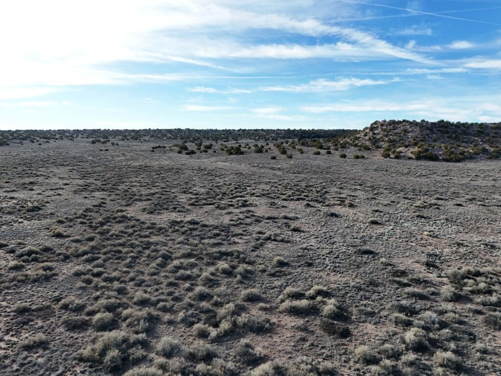 Open land with fertile soil in Mohave County, Arizona - photo 4